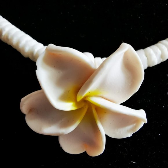 Puka Shell and Plumeria Flower Necklace - Picture 12 of 15